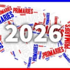 Village of Lakeview, Township Information, Elections